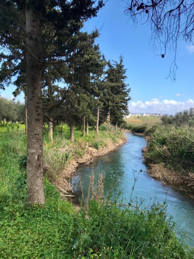 Vardis Olive Garden Georgioupoli Exteriör bild